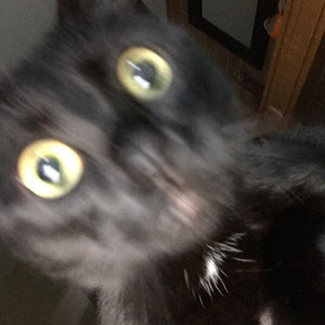 Meet your Posher, Kai